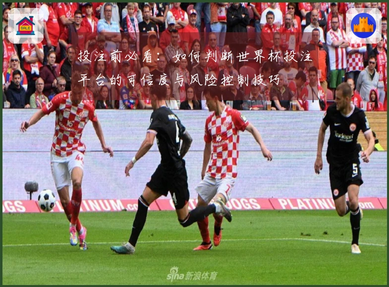投注前必看：如何判断世界杯投注平台的可信度与风险控制技巧