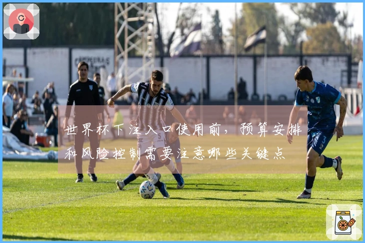 世界杯下注入口使用前，预算安排和风险控制需要注意哪些关键点