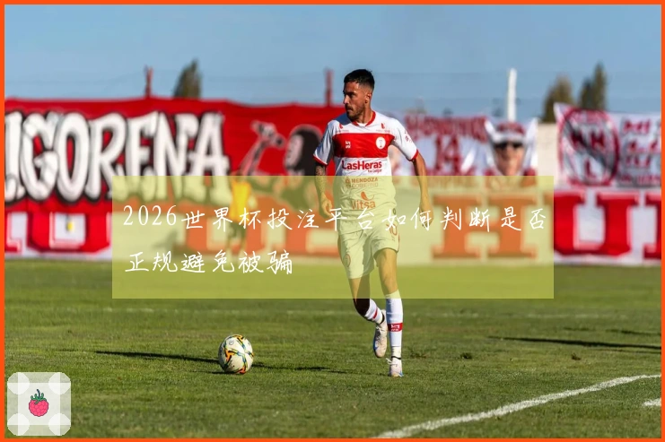 2026世界杯投注平台如何判断是否正规避免被骗