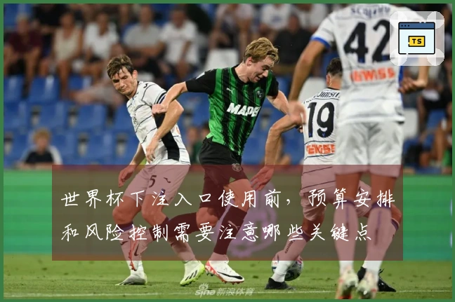世界杯下注入口使用前，预算安排和风险控制需要注意哪些关键点